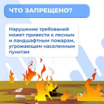 В Дагестане введён противопожарный режим