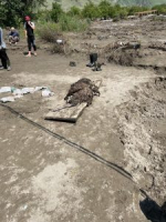 Утилизация трупов животных в Гергебильском районе: меры по предотвращению эпидемий